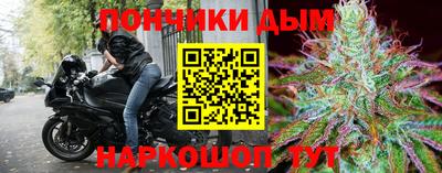 дурь Кингисепп