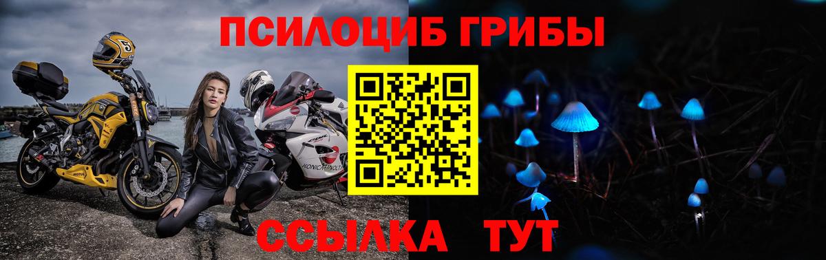 Галлюциногенные грибы Magic Shrooms Волхов