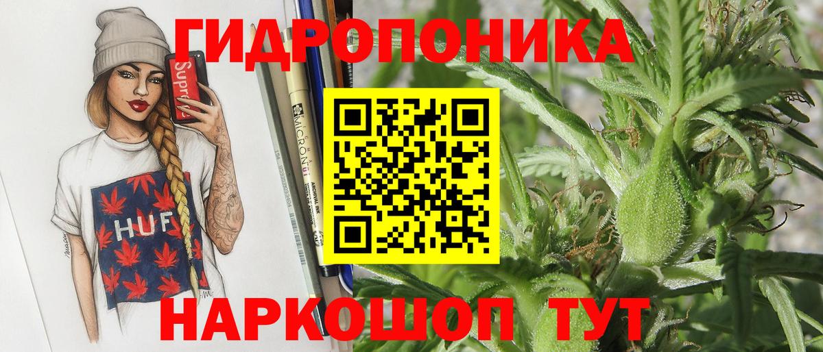 МАРИХУАНА MAZAR  Каннабис план  Волхов  Канабис индика  Вход с VPN 
